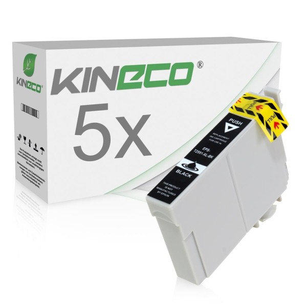Kineco Multipack 5 Patronen Epson T2991